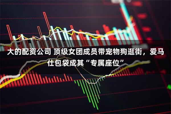 大的配资公司 顶级女团成员带宠物狗逛街，爱马仕包袋成其“专属座位”