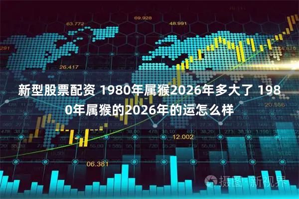 新型股票配资 1980年属猴2026年多大了 1980年属猴的2026年的运怎么样